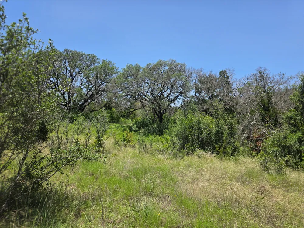 450 County Road 250 Gustine, TX 76455