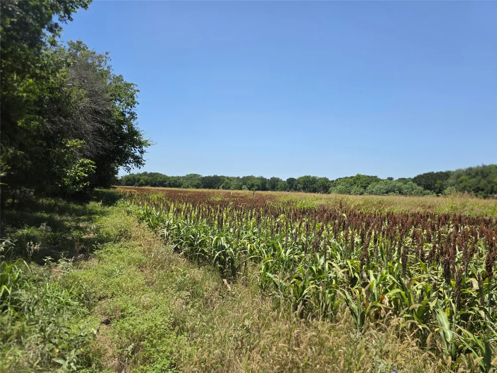 450 County Road 250 Gustine, TX 76455