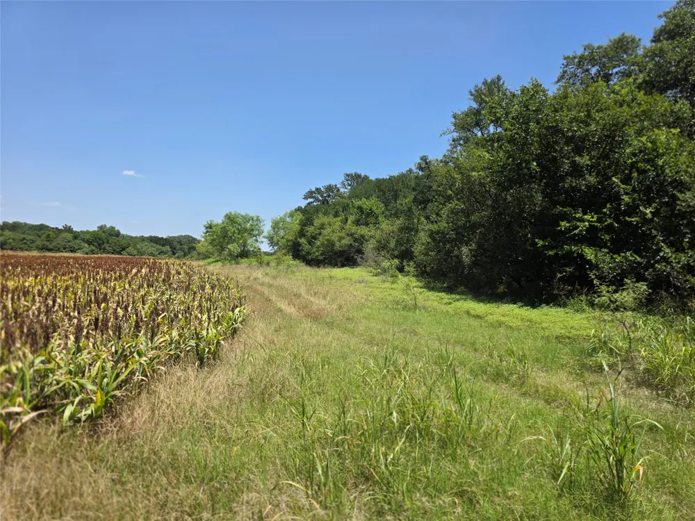 450 County Road 250 Gustine, TX 76455