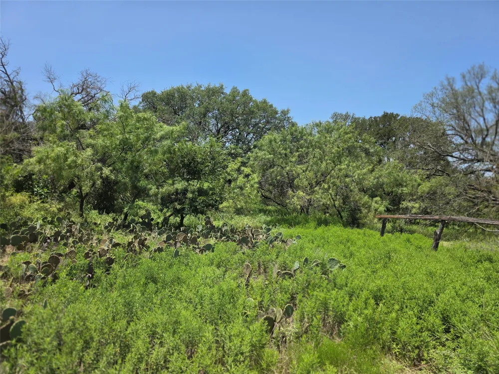 450 County Road 250 Gustine, TX 76455