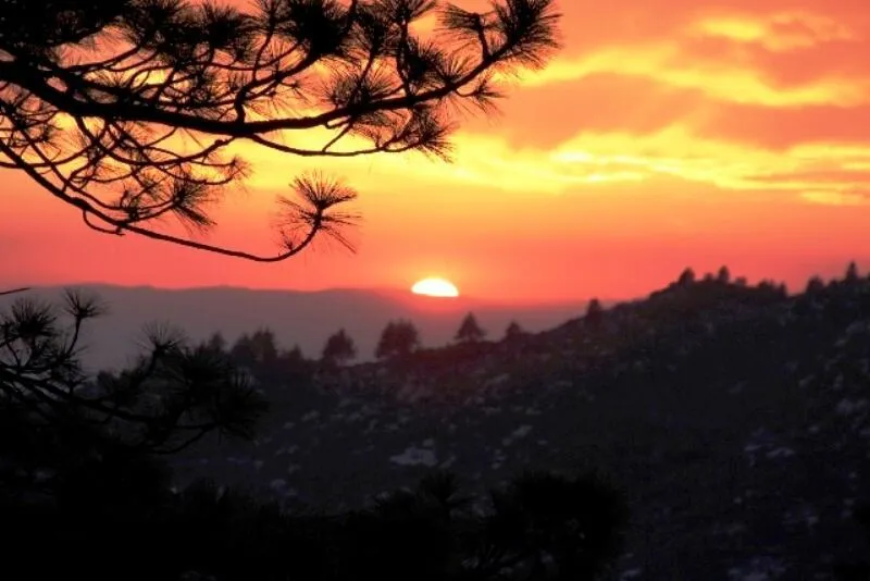 Bonita Vista Road Mountain Center, CA 92561