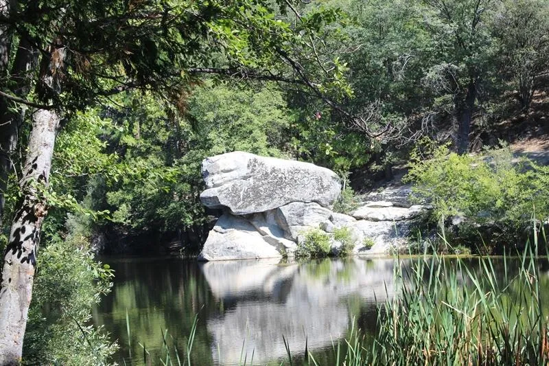 Bonita Vista Road Mountain Center, CA 92561