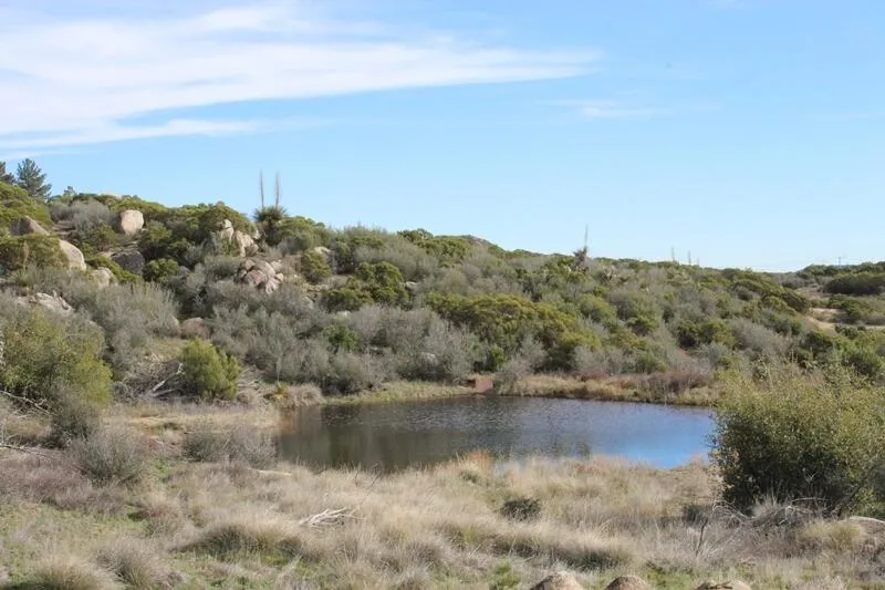 Bonita Vista Road Mountain Center, CA 92561