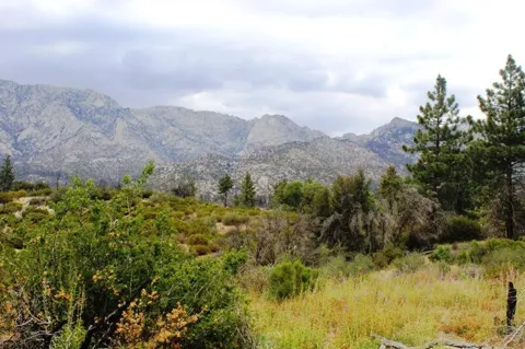 Bonita Vista Road