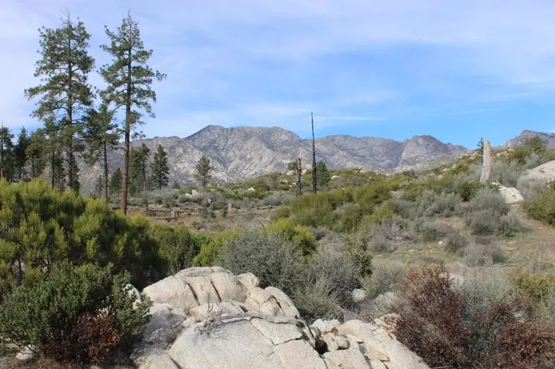 Bonita Vista Road Mountain Center, CA 92561