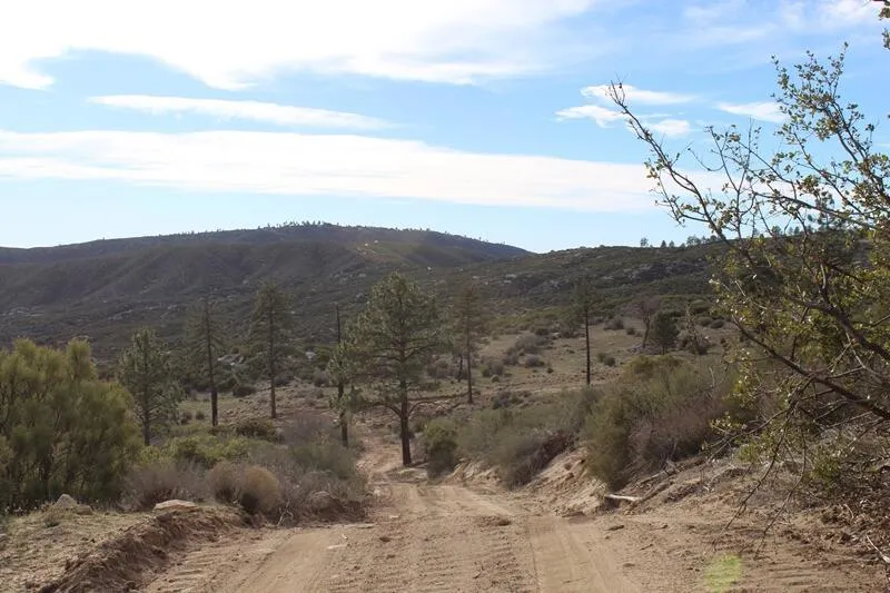 Bonita Vista Road Mountain Center, CA 92561