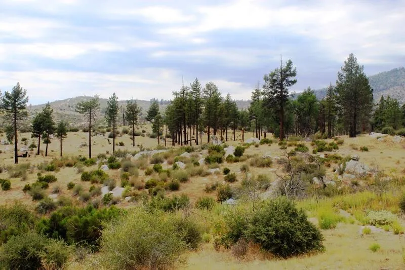 Bonita Vista Road Mountain Center, CA 92561