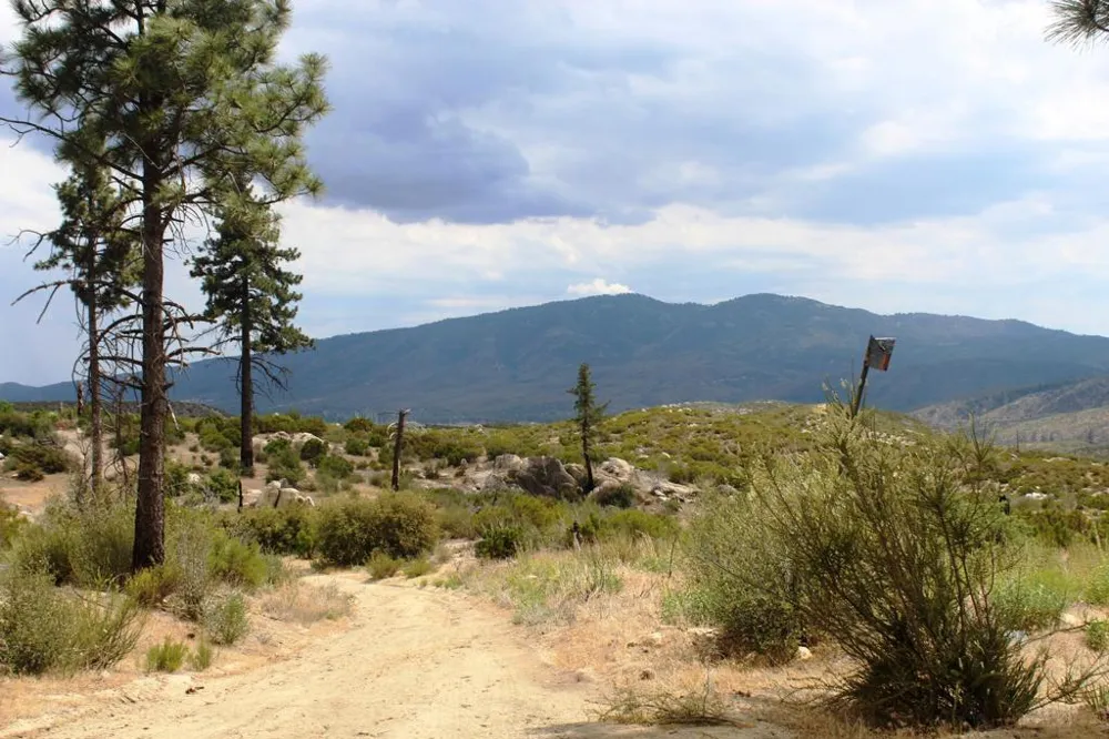 Bonita Vista Road Mountain Center, CA 92561