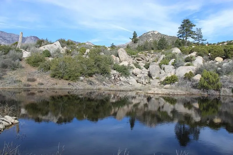 Bonita Vista Road Mountain Center, CA 92561