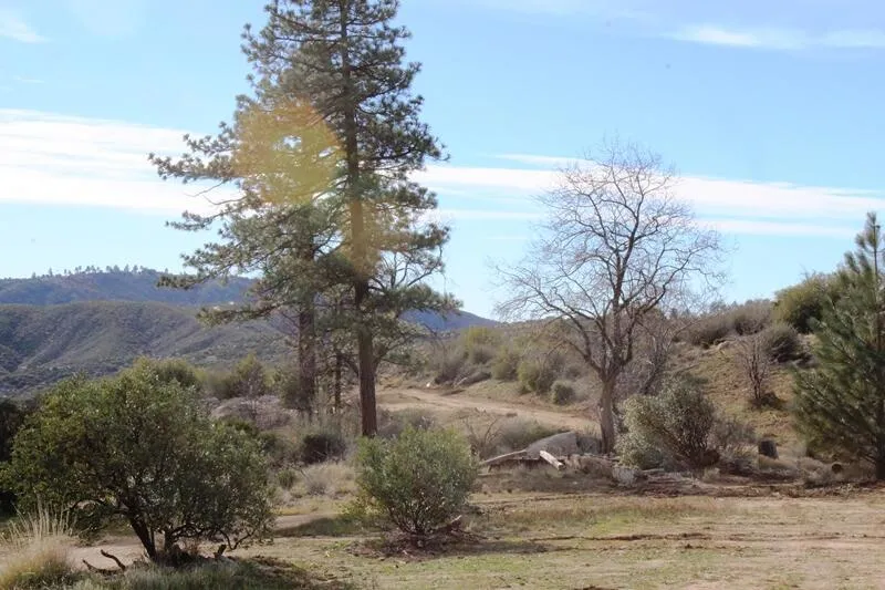 Bonita Vista Road Mountain Center, CA 92561
