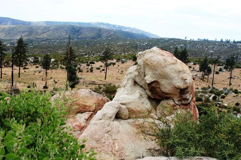 Bonita Vista Road Mountain Center, CA 92561
