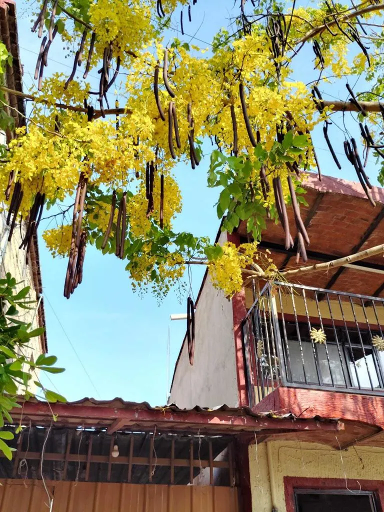 Avenida Santiago Other, CA 99999