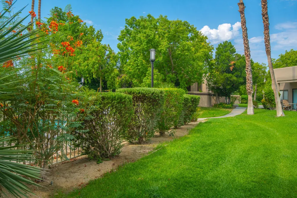 67821 Portales Drive #251 Cathedral City, CA 92234