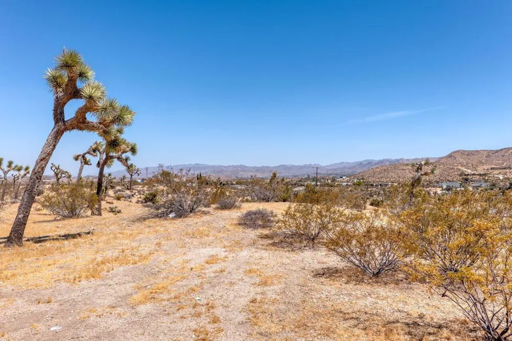 58137 Sun Mesa Drive Yucca Valley, CA 92284