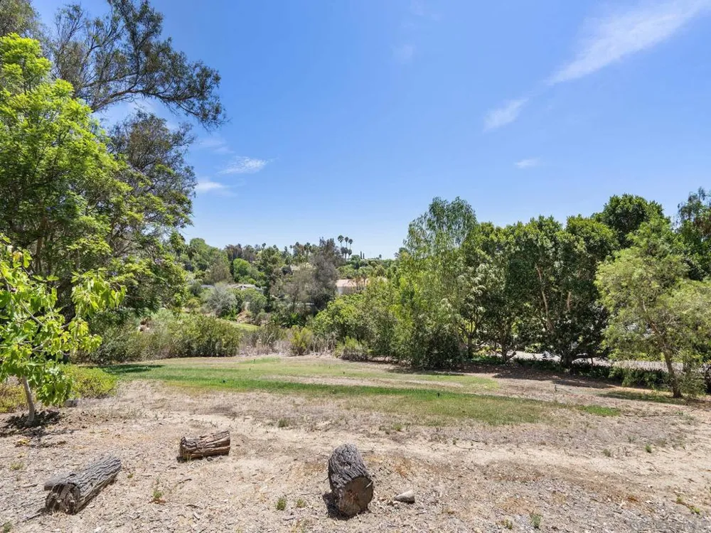 16947 AVENIDA LUIS Rancho Santa Fe, CA 92067