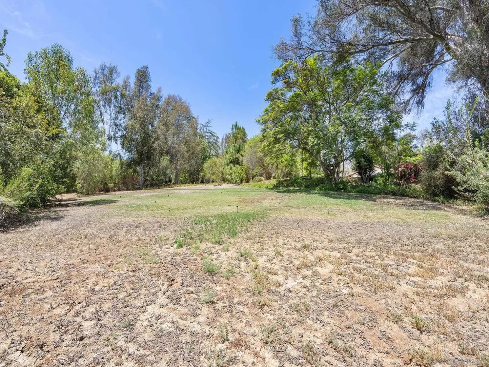 16947 AVENIDA LUIS Rancho Santa Fe, CA 92067