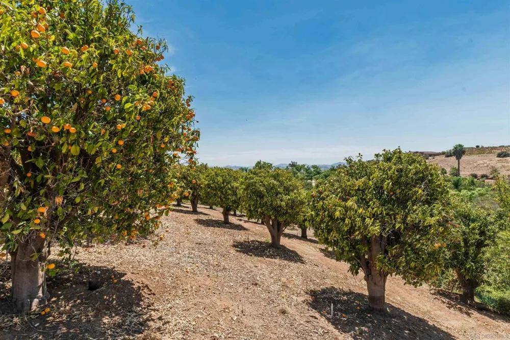 5148 Minneola Drive Fallbrook, CA 92028