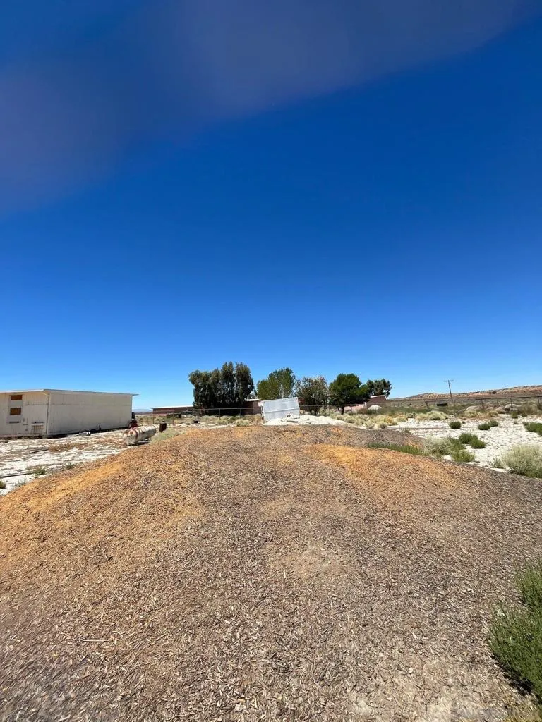 1055 Calle De Amistad El Mirage, CA 92301