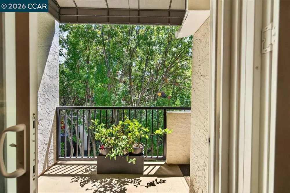 3183 Wayside Plz #311 Walnut Creek, CA 94597