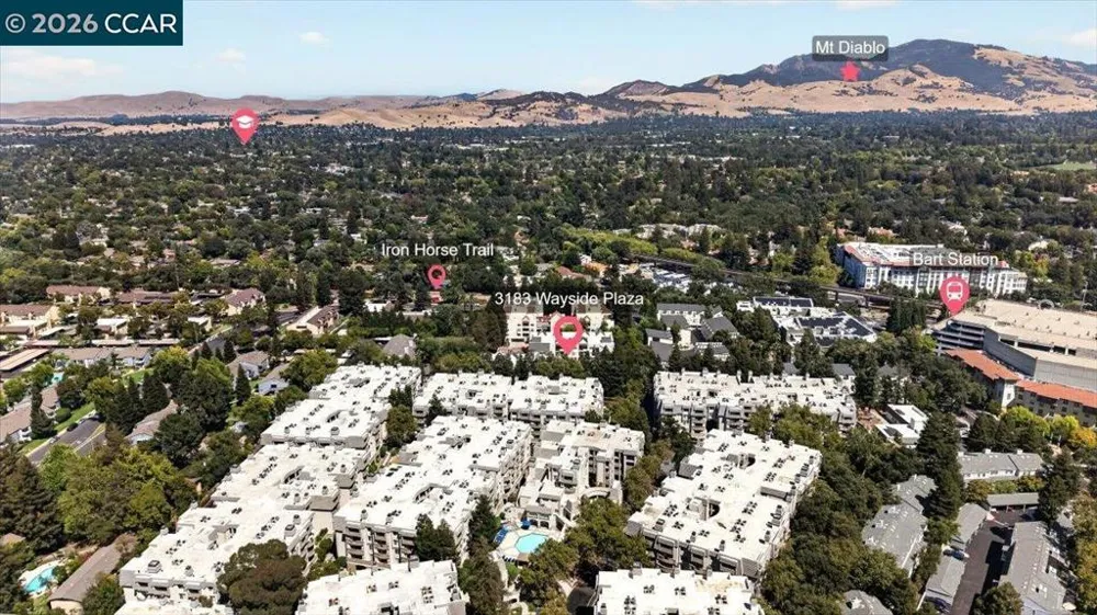 3183 Wayside Plz #311 Walnut Creek, CA 94597