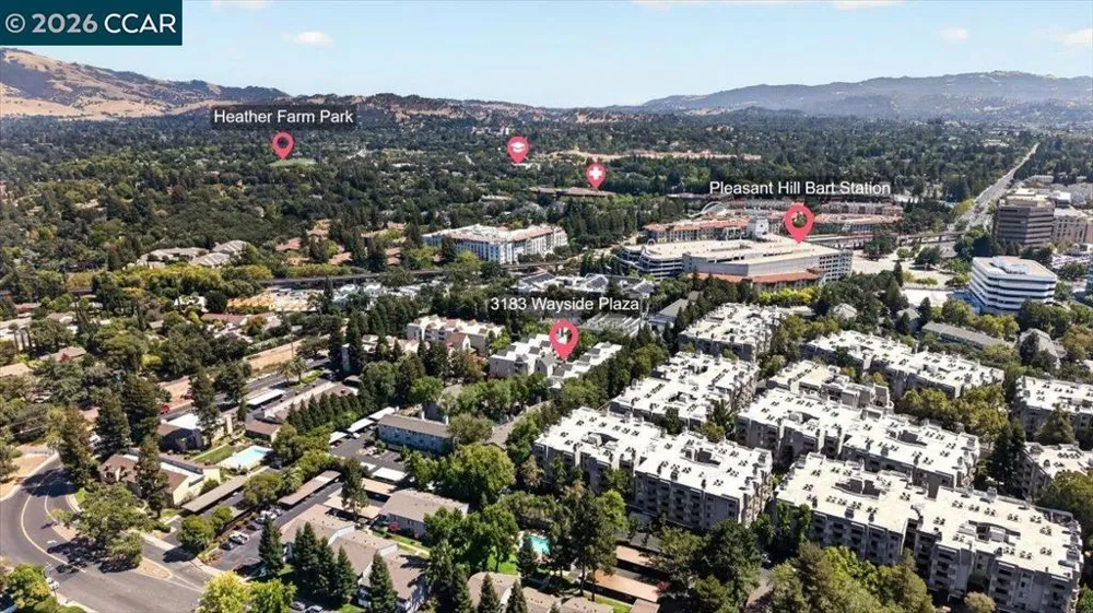 3183 Wayside Plz #311 Walnut Creek, CA 94597