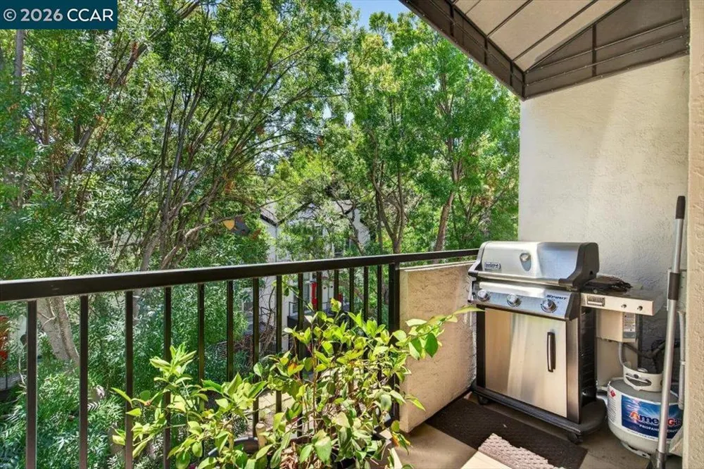 3183 Wayside Plz #311 Walnut Creek, CA 94597