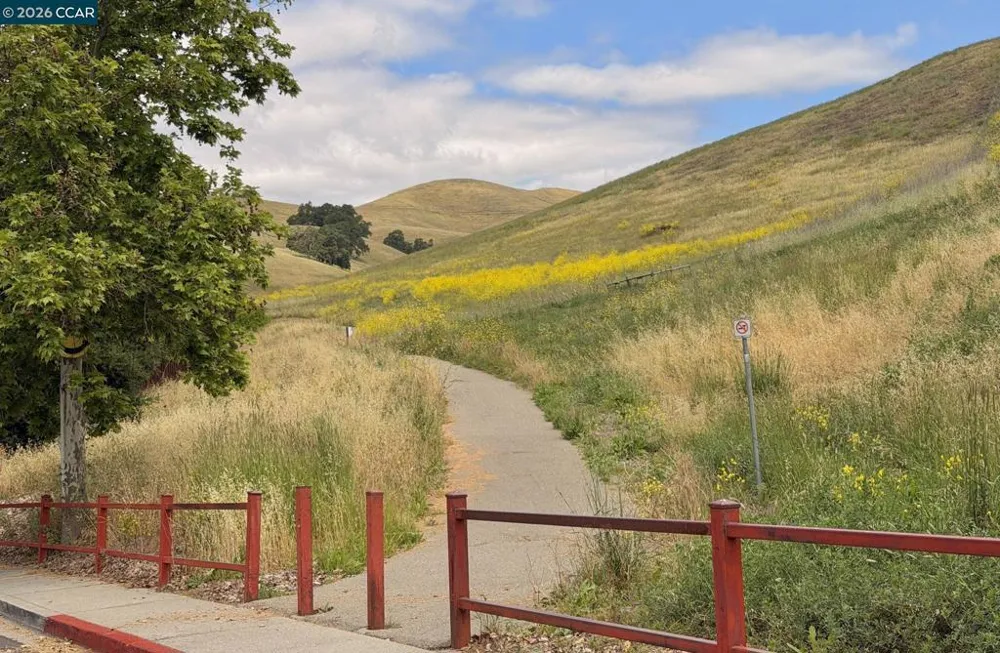 85 Trish Ct Danville, CA 94506