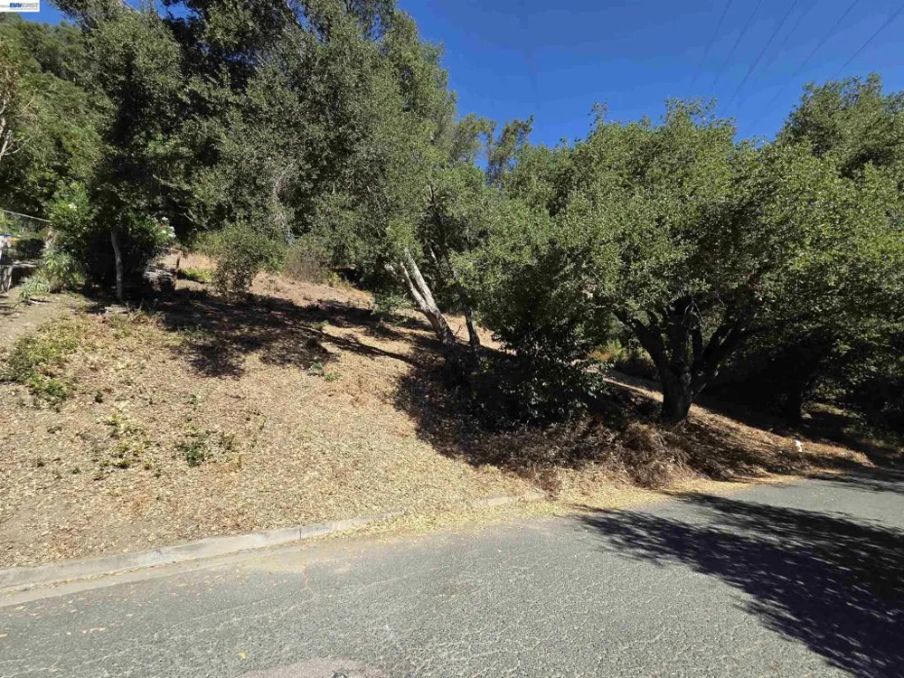 Barbara Rd Orinda, CA 94563