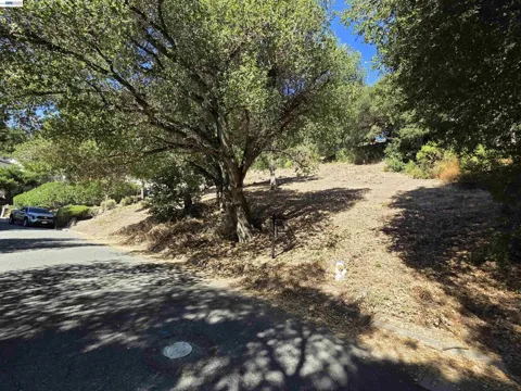 Barbara Rd