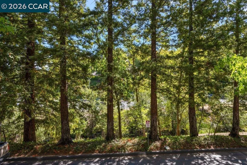 1860 Tice Creek Dr #1206 Walnut Creek, CA 94595