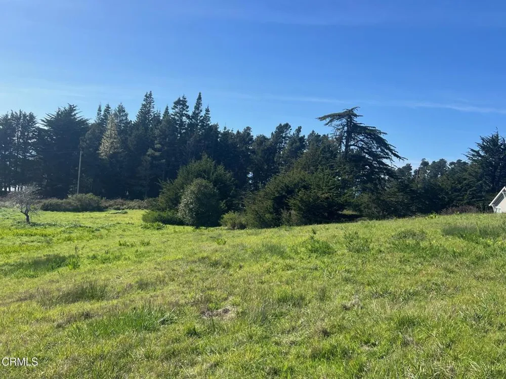 44831 Baywood Drive Mendocino, CA 95460