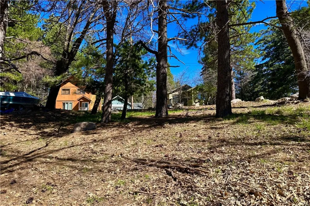Lakeview Drive Rimforest, CA 92378