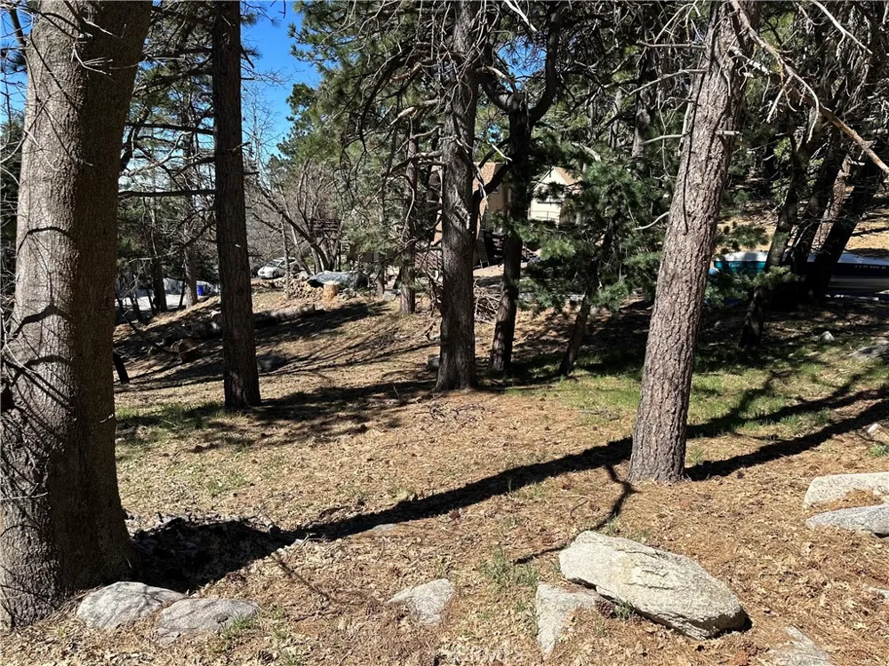 Lakeview Drive Rimforest, CA 92378