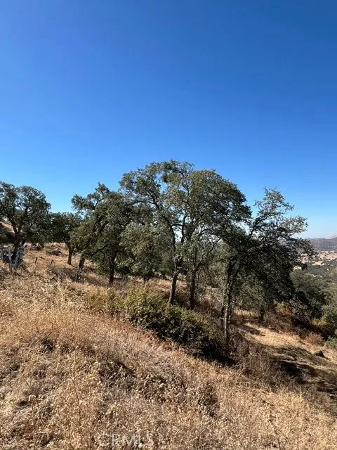 Thunderhill Squaw Valley, CA 93675