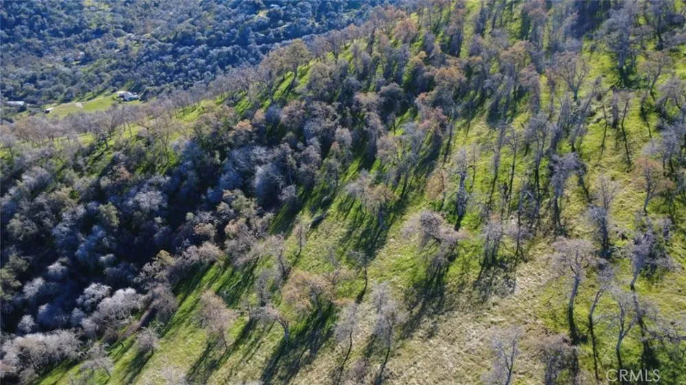 Ruth Hill Rd Squaw Valley, CA 93675