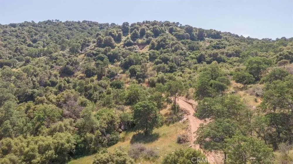 Ruth Hill Rd Squaw Valley, CA 93675