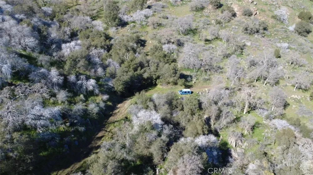 Ruth Hill Rd Squaw Valley, CA 93675