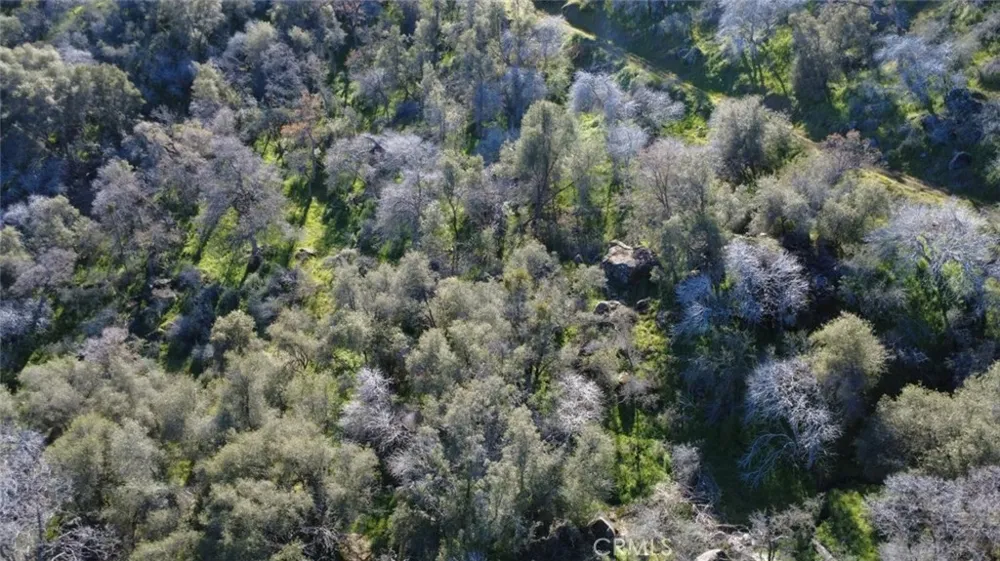 Ruth Hill Rd Squaw Valley, CA 93675