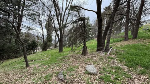 757 Scenic View Drive