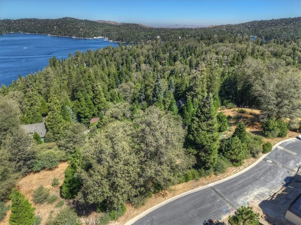 149 Mill Pond Road Lake Arrowhead, CA 92352