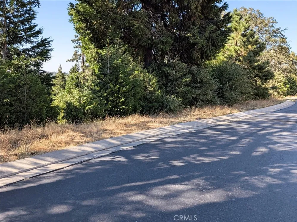 149 Mill Pond Road Lake Arrowhead, CA 92352