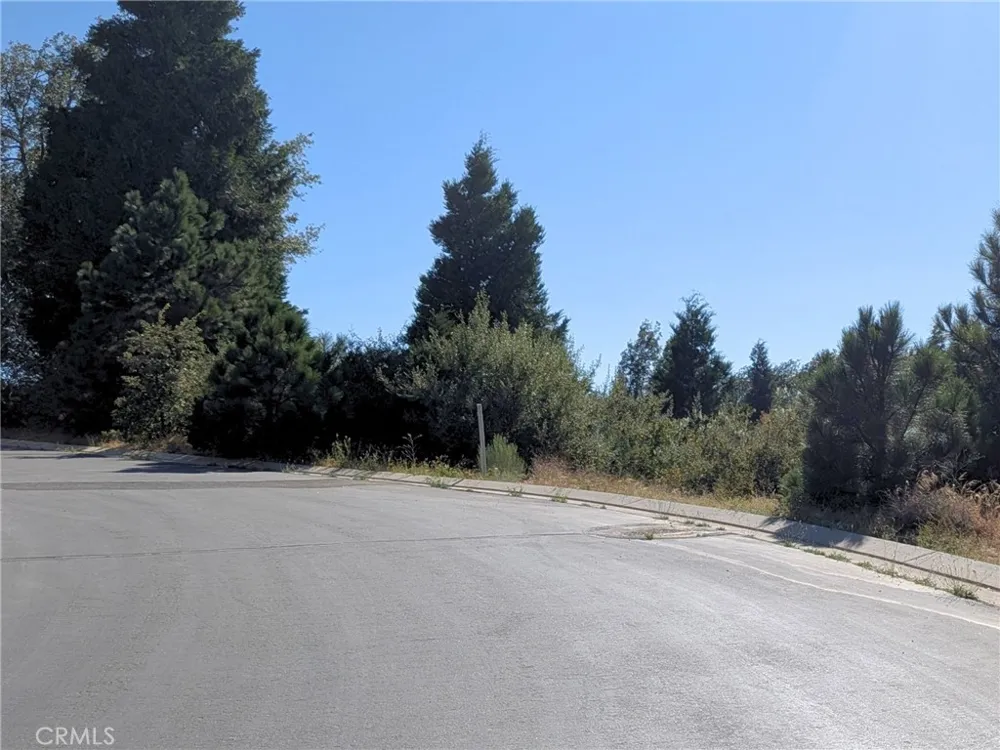 149 Mill Pond Road Lake Arrowhead, CA 92352