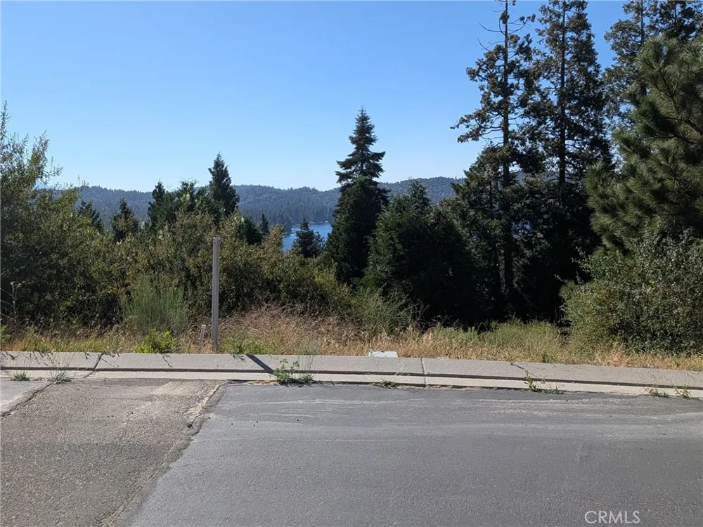 149 Mill Pond Road Lake Arrowhead, CA 92352