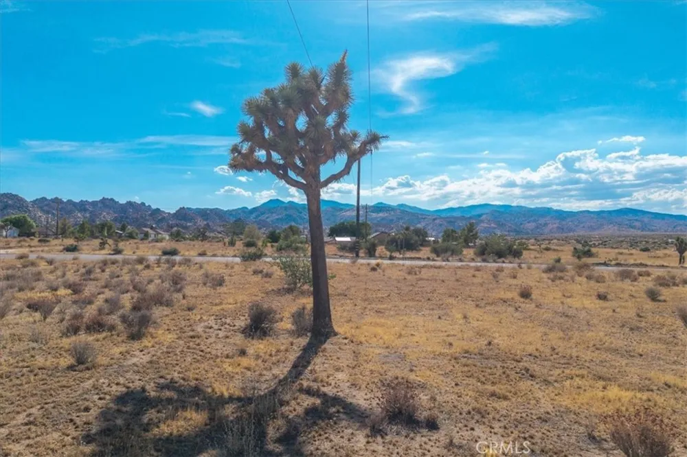 53335 Pioneertown Road Pioneertown, CA 92268
