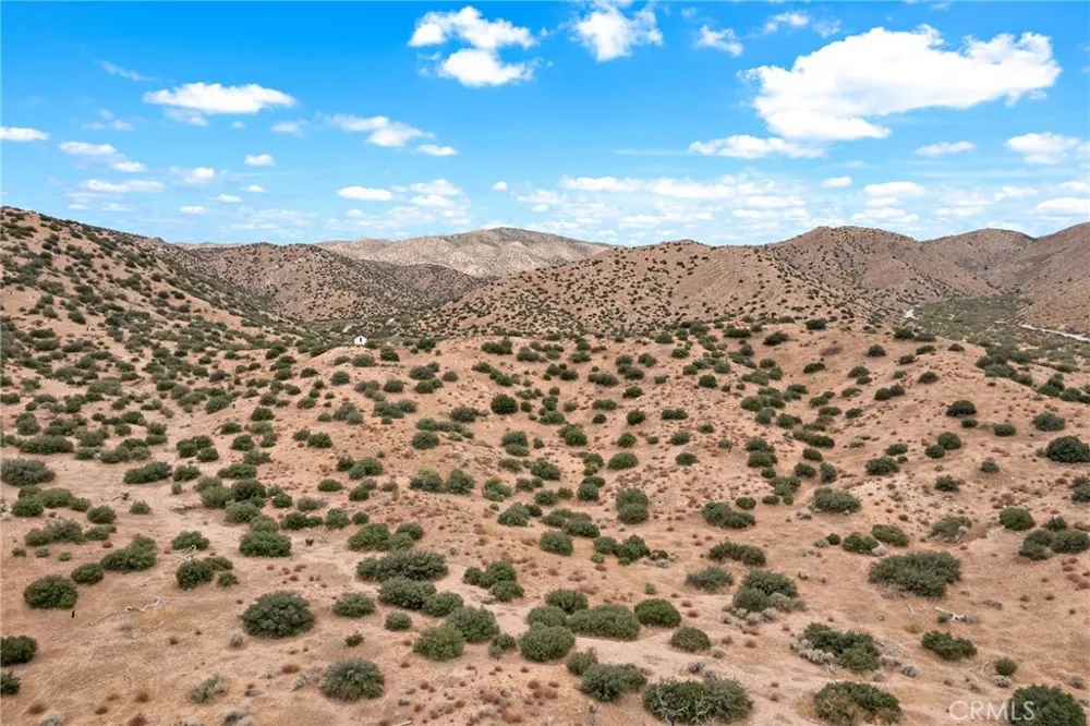 2816 Orange Trail Pioneertown, CA 92268