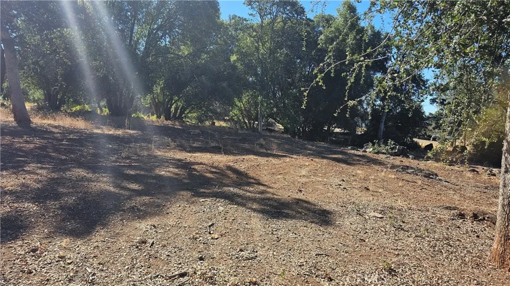 15535 23rd Avenue Clearlake, CA 95422