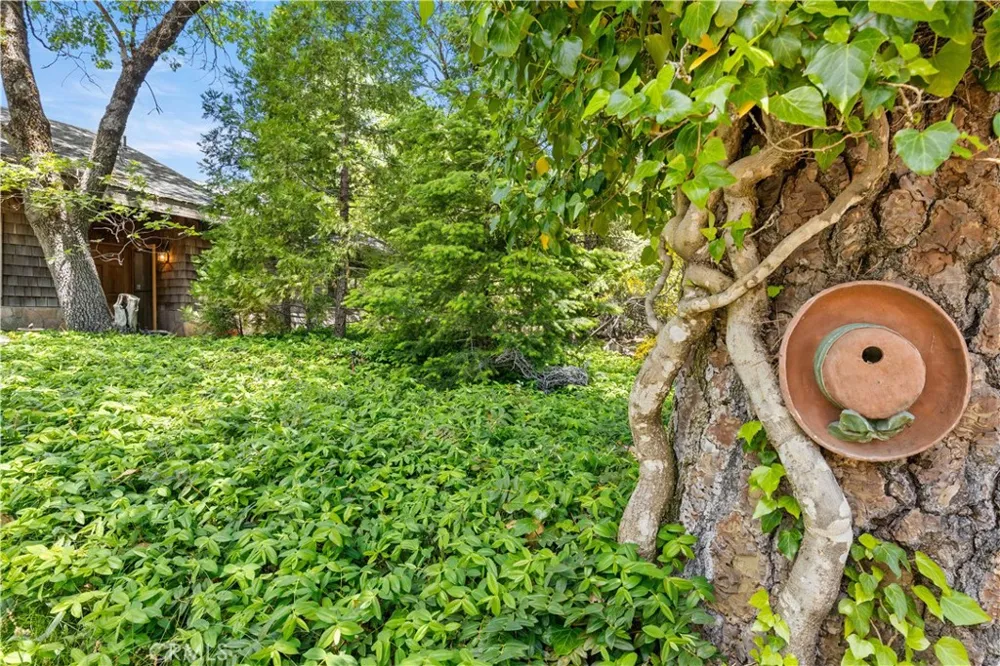 10401 Rosa Kelseyville, CA 95451