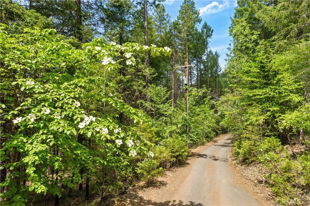 10401 Rosa Kelseyville, CA 95451