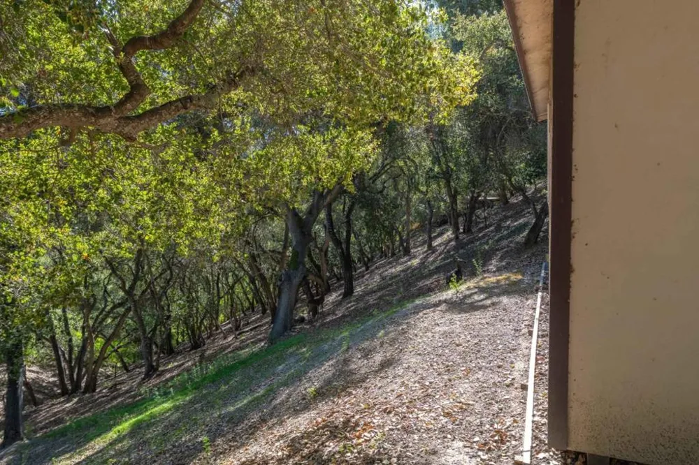 245 Calle De Los Agrinemsors Carmel Valley, CA 93924