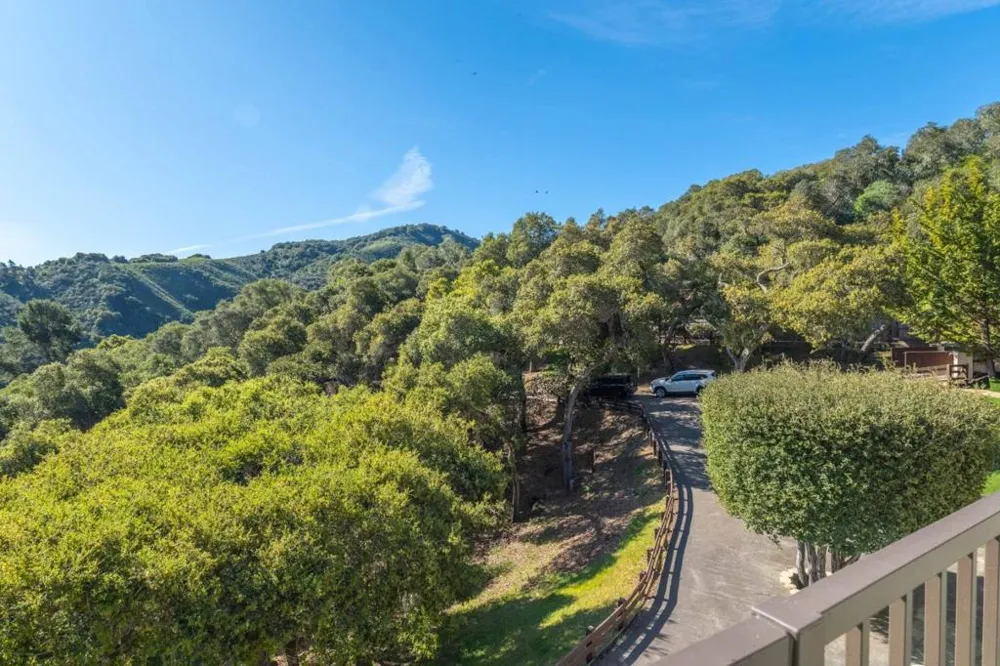 245 Calle De Los Agrinemsors Carmel Valley, CA 93924